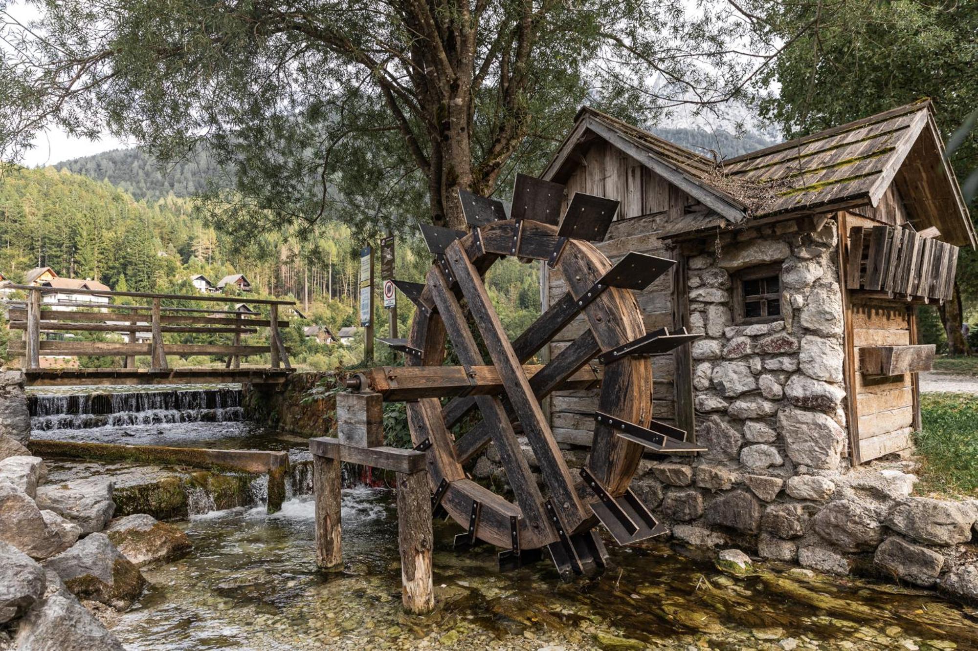 Eros Apartment Kranjska Gora Eksteriør bilde